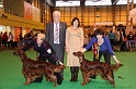 Crufts2011_2 202